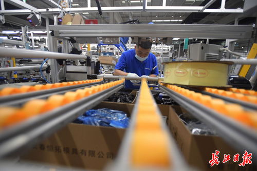 偉巴斯特武漢工廠提前投產(chǎn)，區(qū)域外資工業(yè)集聚效應(yīng)凸顯