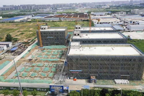 宿遷搶抓“它經(jīng)濟”新風口 50億級寵物經(jīng)濟產(chǎn)業(yè)園蓄勢待發(fā)